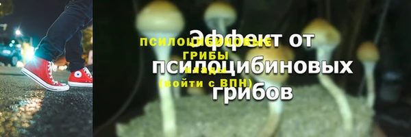 шишки Балахна